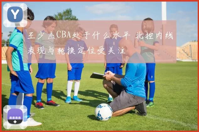 王少杰CBA处于什么水平 北控内线表现与轮换定位受关注