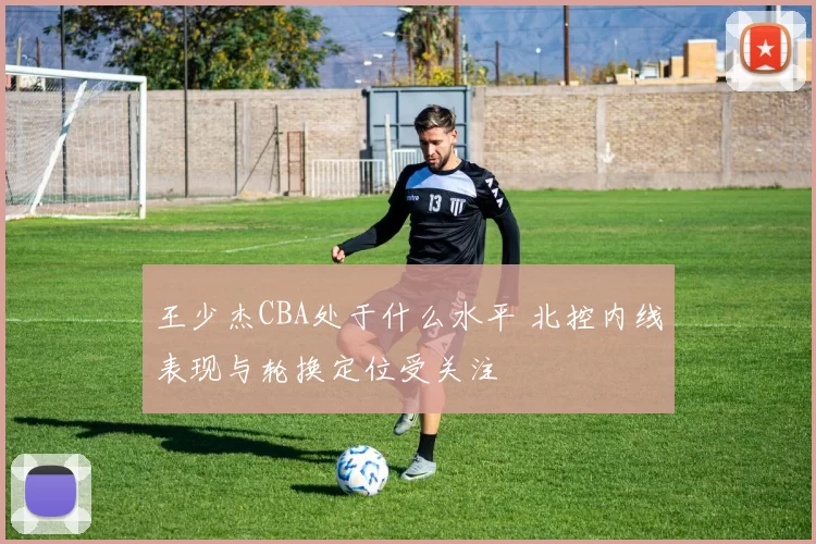 王少杰CBA处于什么水平 北控内线表现与轮换定位受关注