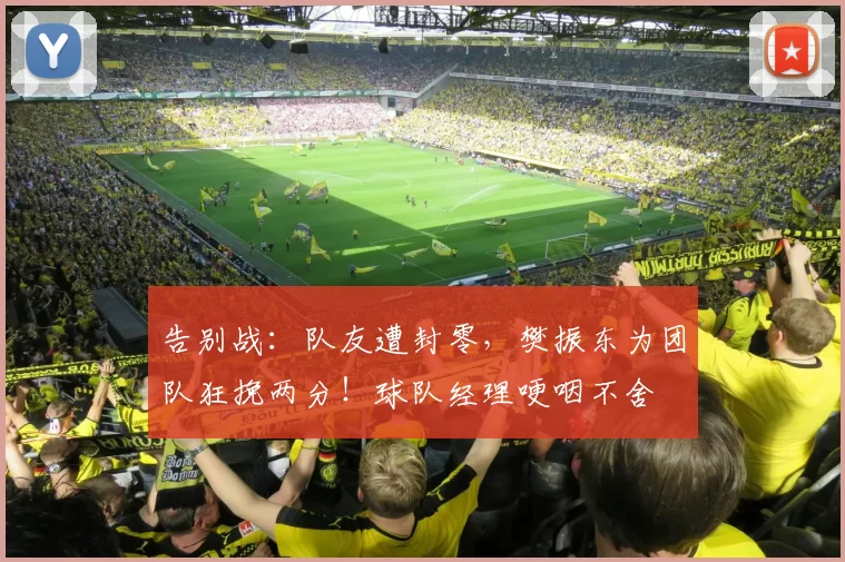 告别战：队友遭封零，樊振东为团队狂挽两分！球队经理哽咽不舍