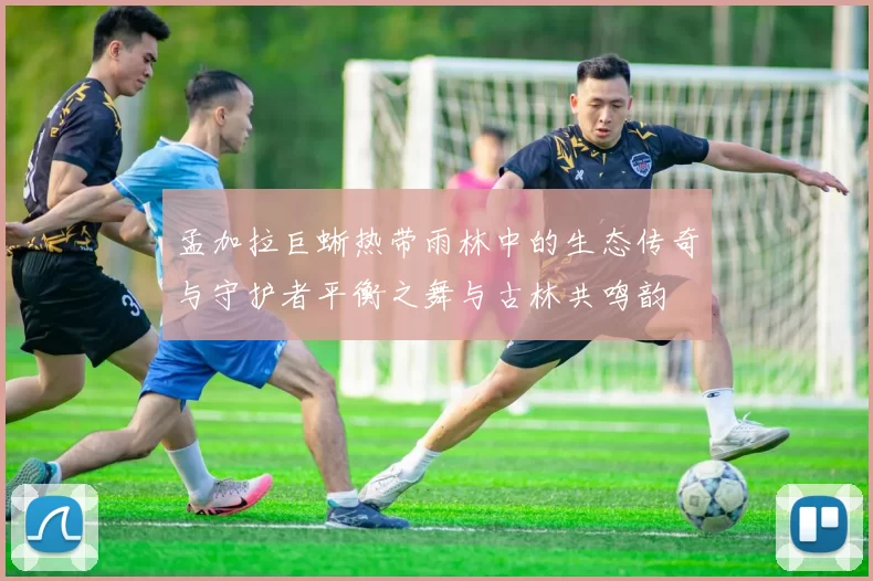 孟加拉巨蜥热带雨林中的生态传奇与守护者平衡之舞与古林共鸣韵