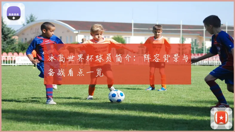冰岛世界杯球员简介：阵容背景与备战看点一览