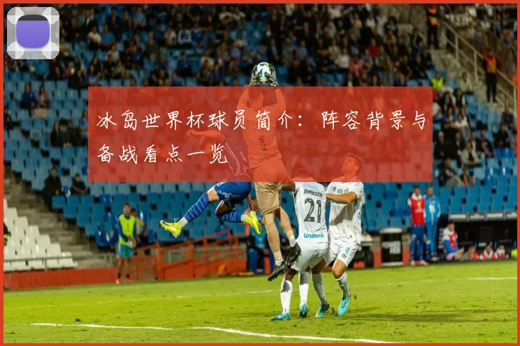 冰岛世界杯球员简介:阵容背景与备战看点一览