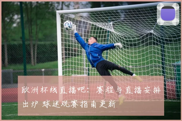 欧洲杯线直播吧:赛程与直播安排出炉 球迷观赛指南更新